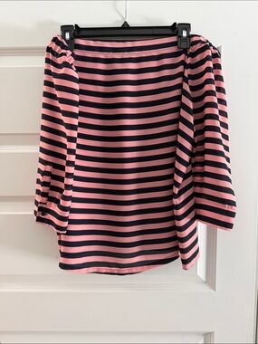 Banana Republic Pink and Navy Striped Boatneck Blouse